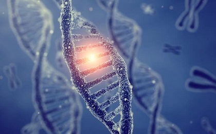 Charcot Marie Tooth Disease is the most common inherited neurological disorder. Learn about the causes, symptoms, diagnosis and treatment Charcot Marie Tooth Disease is the most common inherited neurological disorder. Learn about the causes, symptoms, diagnosis and treatment