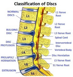 Nerve Endings In Feet Chart