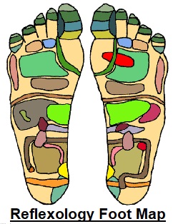 Foot reflexology point