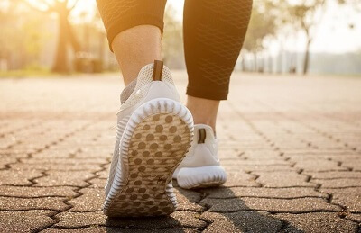 Function Of Gastrocnemius Muscle: The main action of gastrocnemius is plantarflexion which is important in the push-off phase of walking Function Of Gastrocnemius Muscle: The main action of gastrocnemius is plantarflexion which is important in the push-off phase of walking