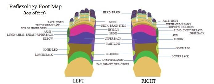 Reflexology Chart Top Of Foot