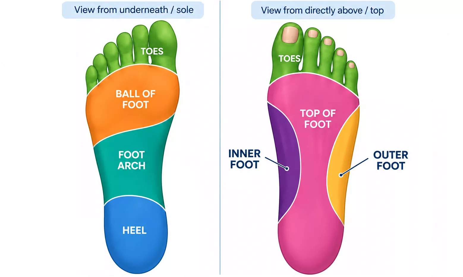 Interactive foot pain diagram showing plantar and dorsal views