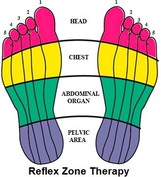 reflexology foot chart reflexology zones chart