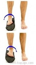 ankle stretches foot pain roller inversion foam explored eversion performing improve purpose way movement